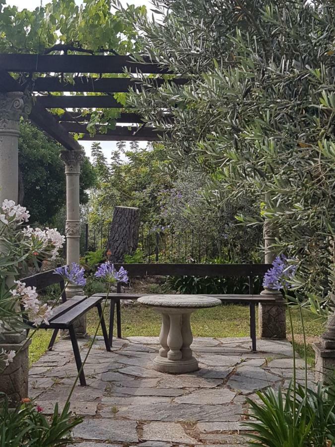 Villa Fior Di Lavanda Cisano sul Neva Exterior foto