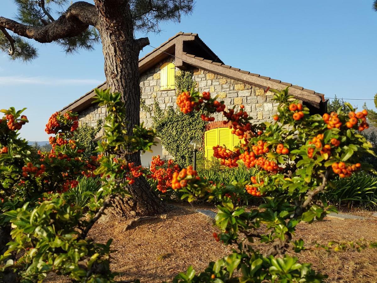 Villa Fior Di Lavanda Cisano sul Neva Exterior foto